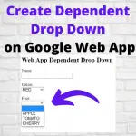Dependent Drop Down Web App WS