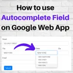 Autocomplete Field Google Web App